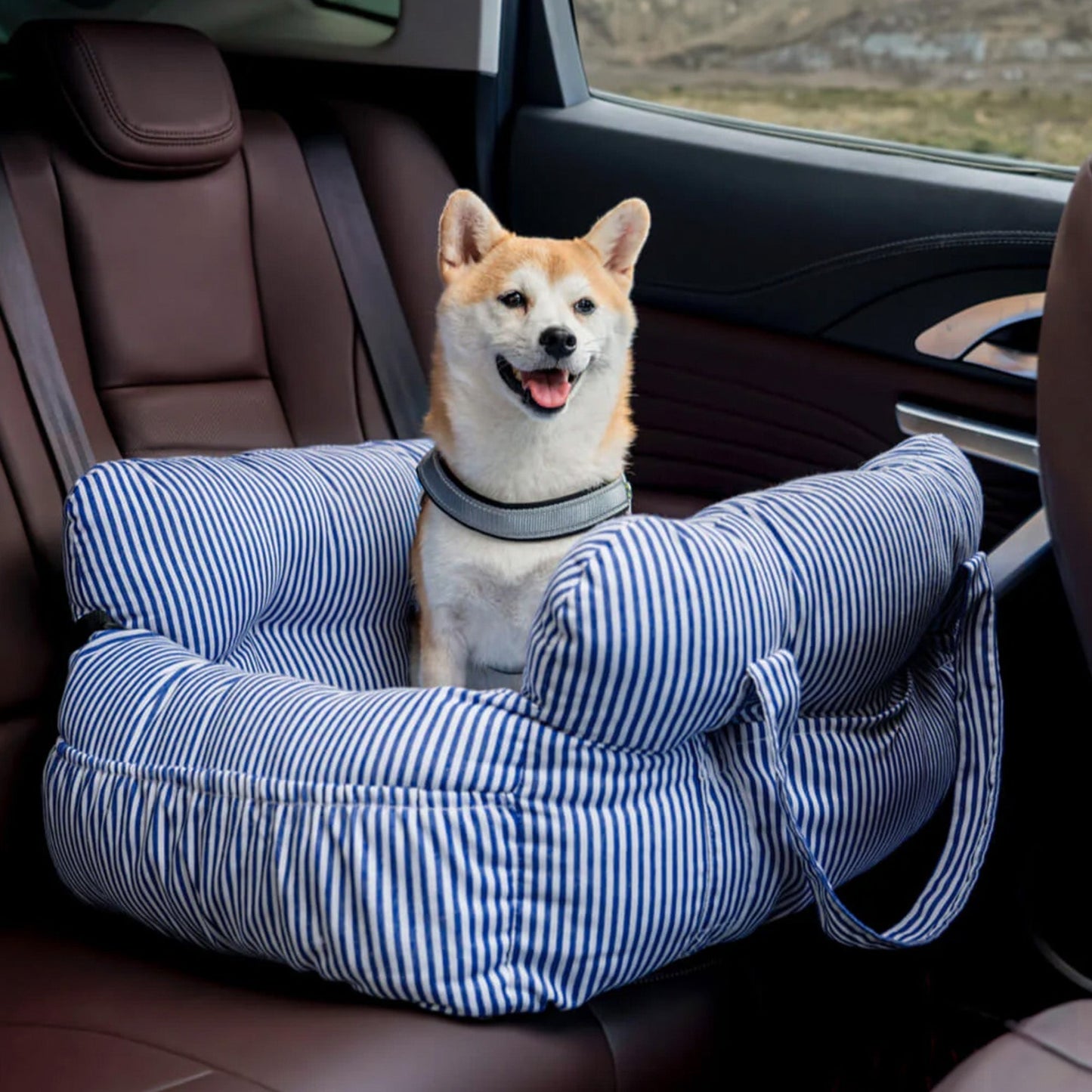 Dog Car Seat – Optimal Comfort While Traveling