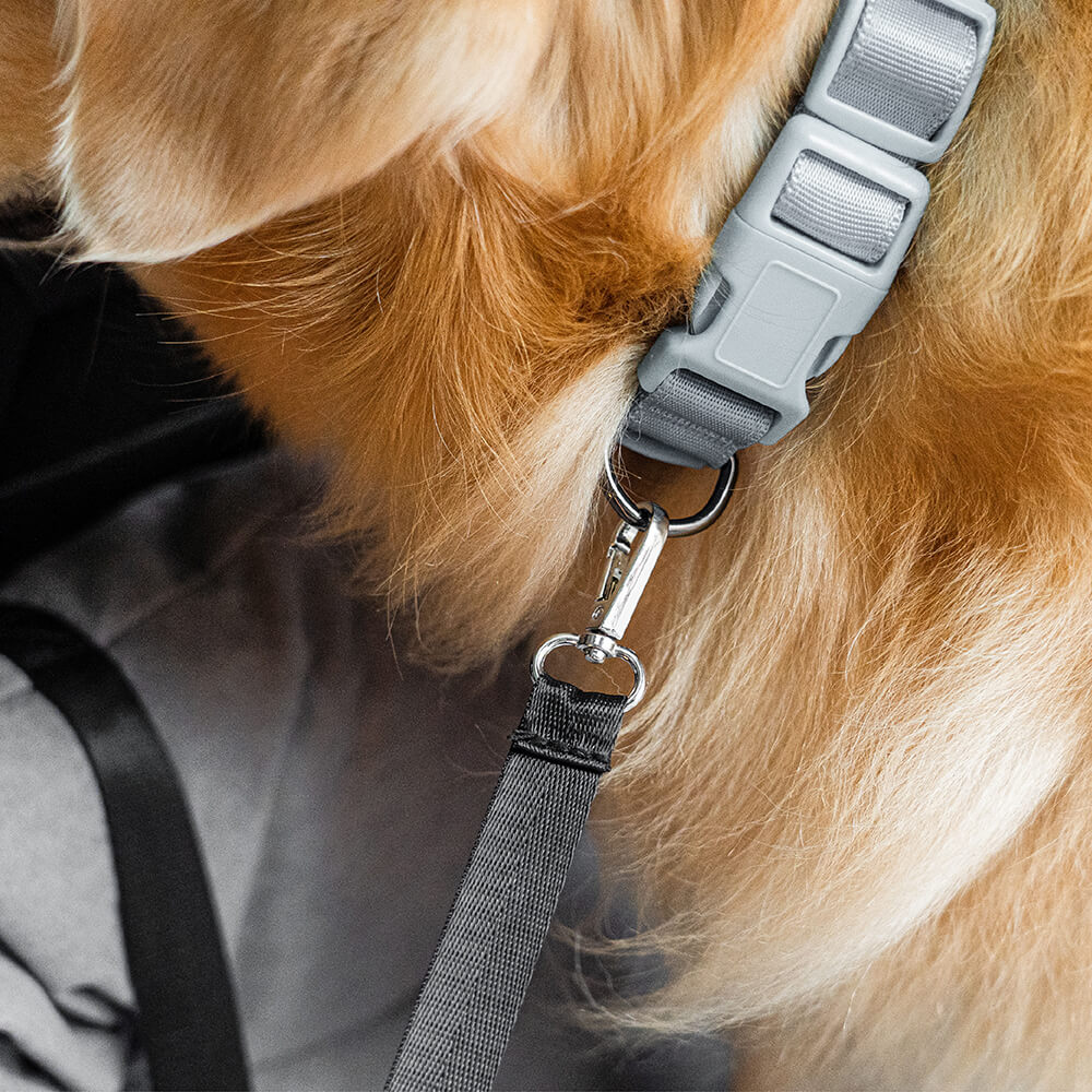 Bilsete for hund — Reis sammen i trygghet