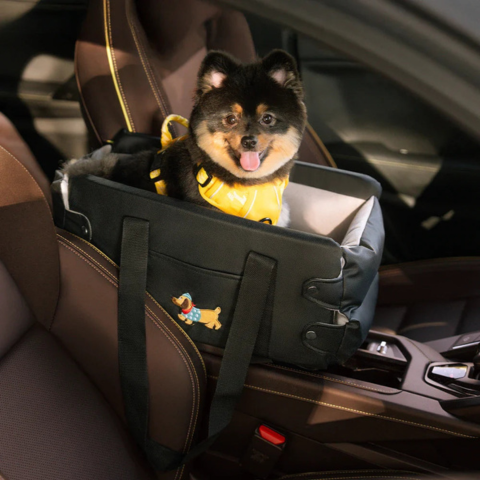 Car Basket for Small Dog — Safety and Comfort in the Car
