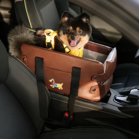 Car Basket for Small Dog — Safety and Comfort in the Car