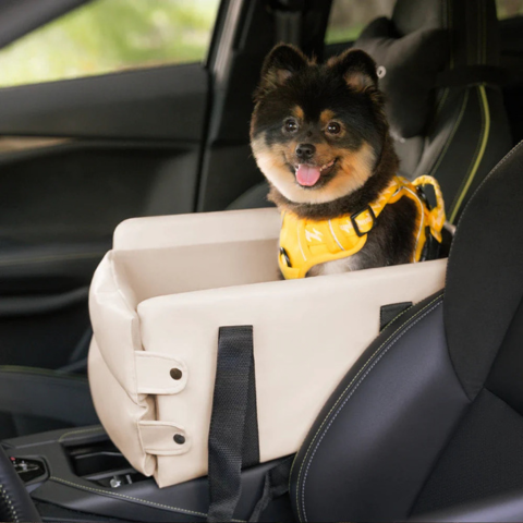 Car Basket for Small Dog — Safety and Comfort in the Car