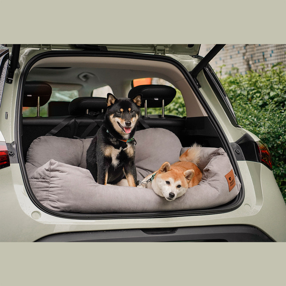 Bilsete for hund — Reis sammen i trygghet