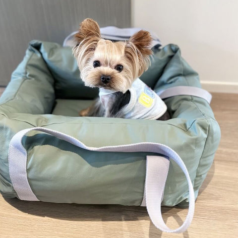 Coussin De Voiture Pour Chien – Protection Et Douceur En Route