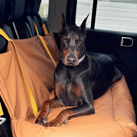 Coussin De Voiture Pour Chien – Protection Et Douceur En Route