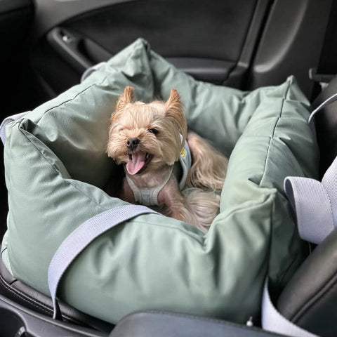 Coussin De Voiture Pour Chien – Protection Et Douceur En Route