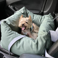 Cuscino Per Auto Per Cani – Protezione E Morbidezza In Viaggio 