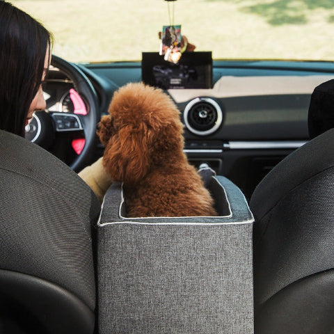 Trasportino per Cani – Comfort e Stabilità in Auto 
