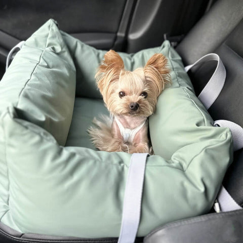 Coussin De Voiture Pour Chien – Protection Et Douceur En Route