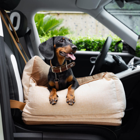 犬用カーシート - 車内での快適さと安全性 