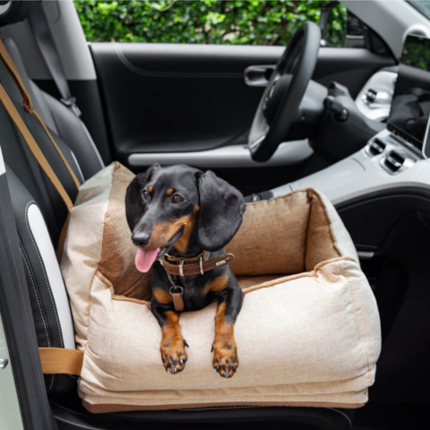犬用カーシート - 車内での快適さと安全性 