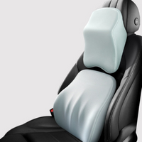 Cuscino Per Auto – Per Una Buona Postura 