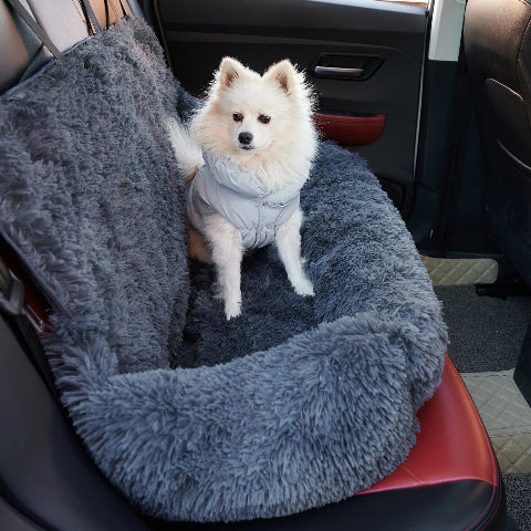 Comfortable Car Seat for Dog – Safety and Well-being 